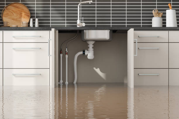 Best Professional water damage repair  in Oneida, TN